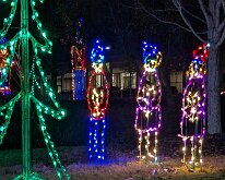 PXL_20251209_011619328